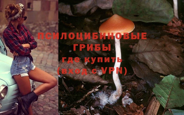 амф Аркадак